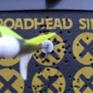 Meet your Posher, Thedavid2139